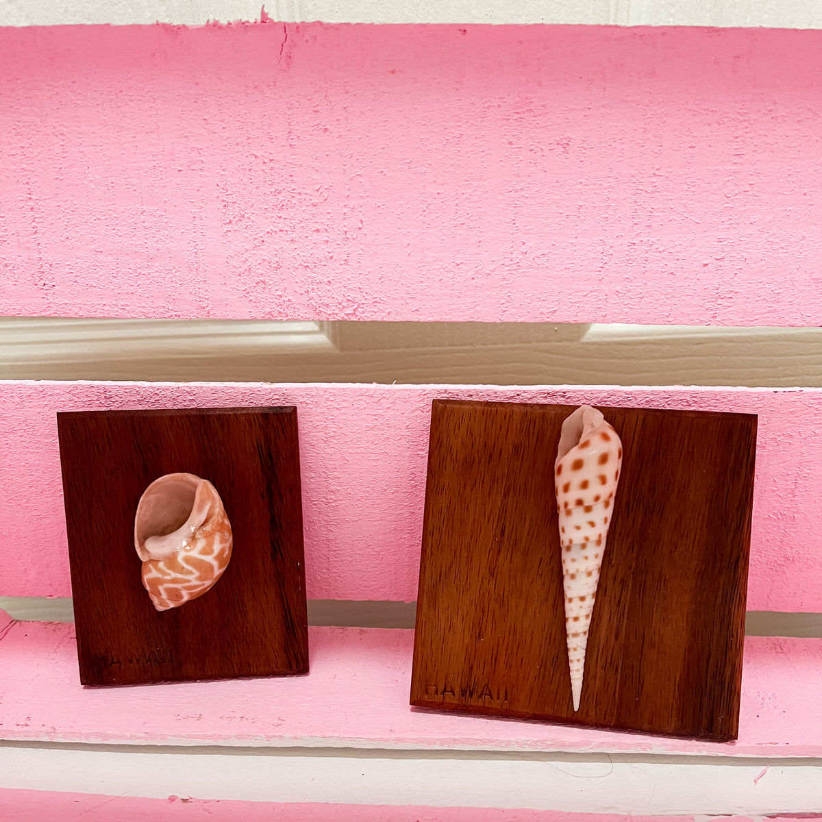 Vintage Hawaiian Shell Art Set