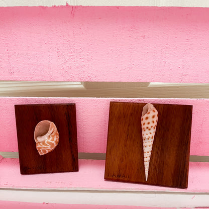 Vintage Hawaiian Shell Art Set