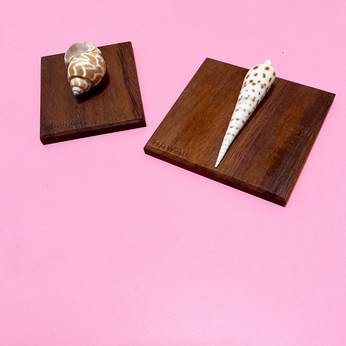 Vintage Hawaiian Shell Art Set