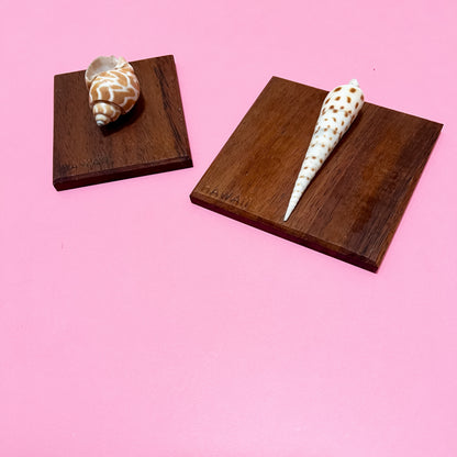 Vintage Hawaiian Shell Art Set