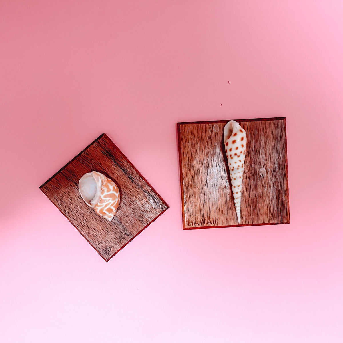 Vintage Hawaiian Shell Art Set