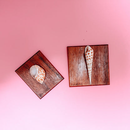 Vintage Hawaiian Shell Art Set