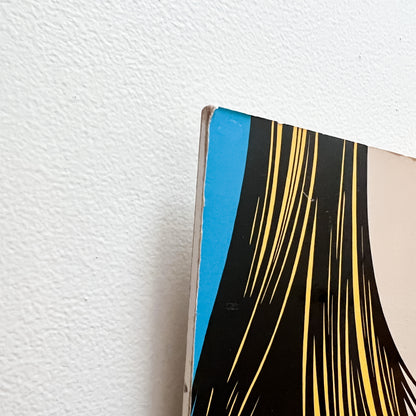 IKEA SOLMYRA Sssshhh D. Azzopardi '99 Vintage Modern Pop Wall Art