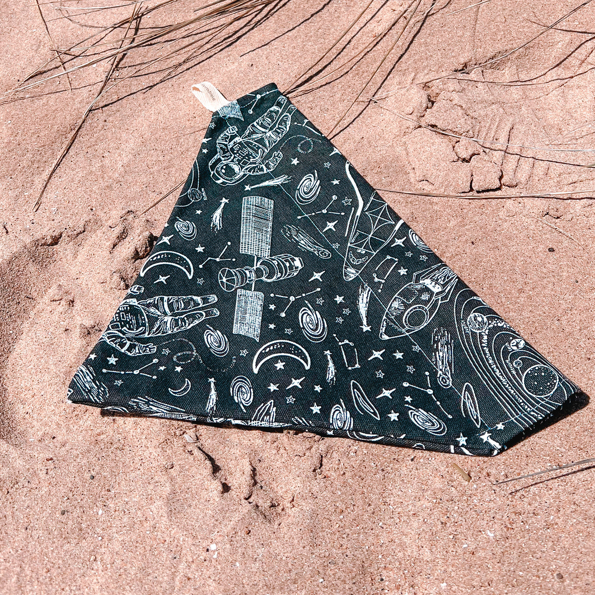 Expedition Space Dog Bandana