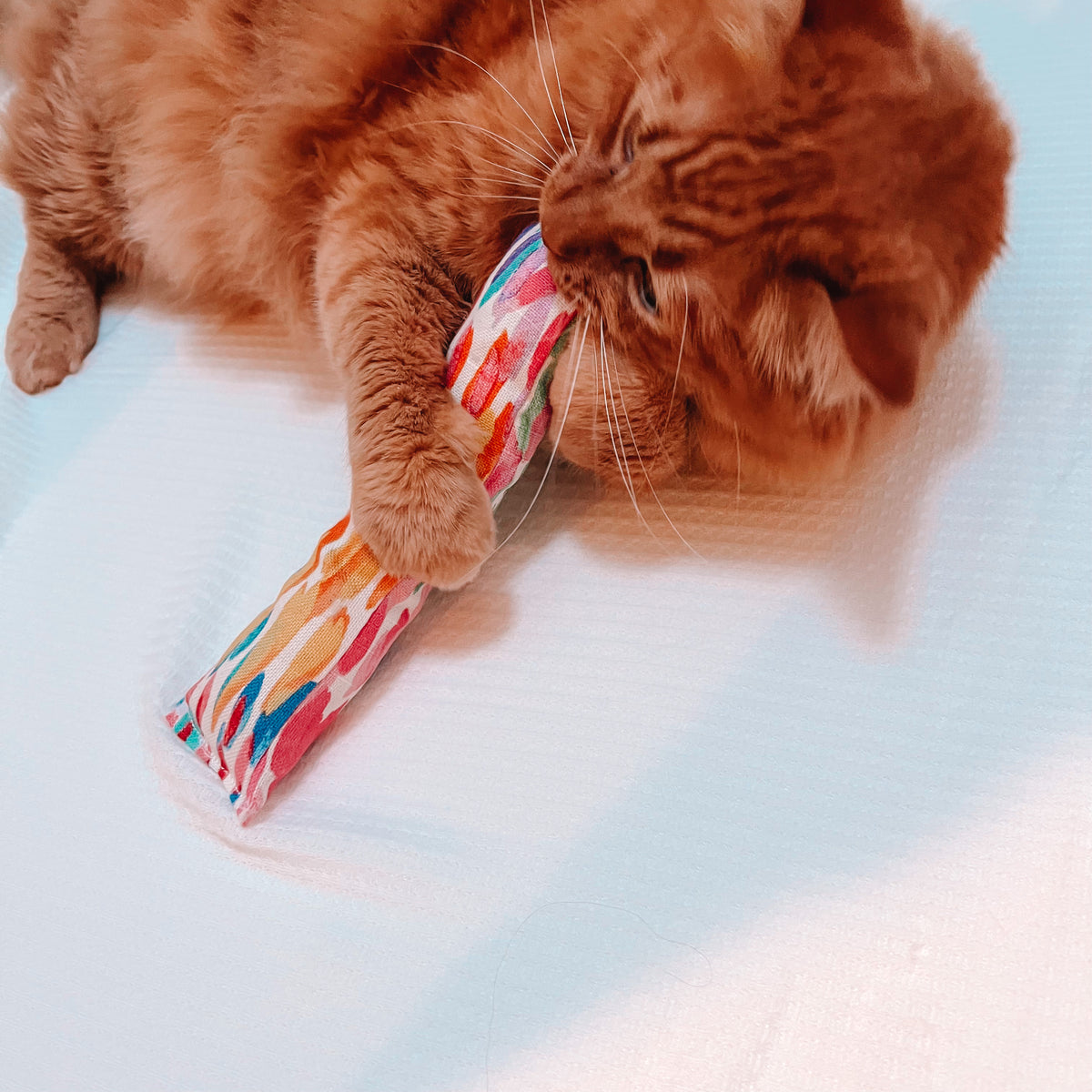 Catnip Cat Toys
