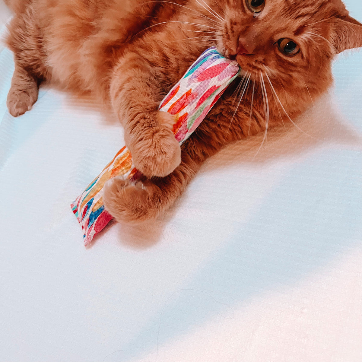 Catnip Cat Toys