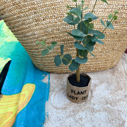 Encouraging and Humorous Faux Plants