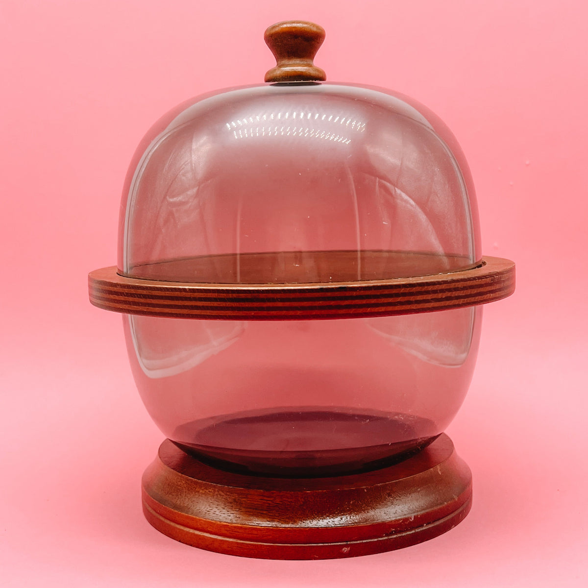Mid Century Acrylic and Cherry Wood Cloche Cheese Set