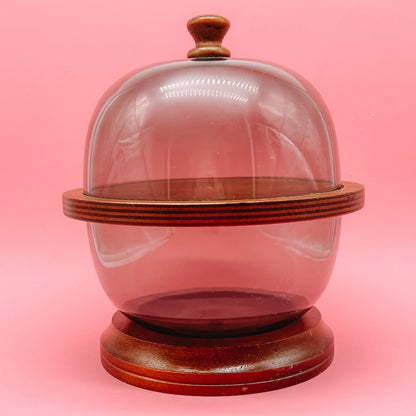 Mid Century Acrylic and Cherry Wood Cloche Cheese Set