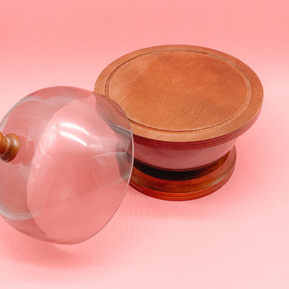 Mid Century Acrylic and Cherry Wood Cloche Cheese Set