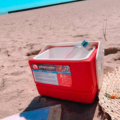 Vintage Igloo Cooler