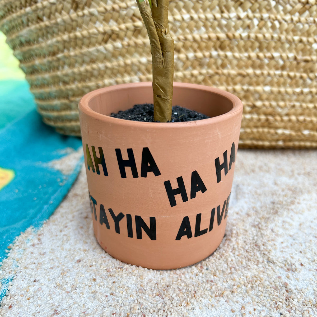 Encouraging and Humorous Faux Plants