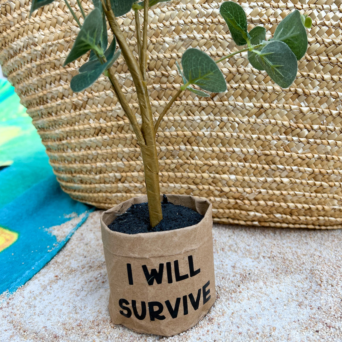 Encouraging and Humorous Faux Plants