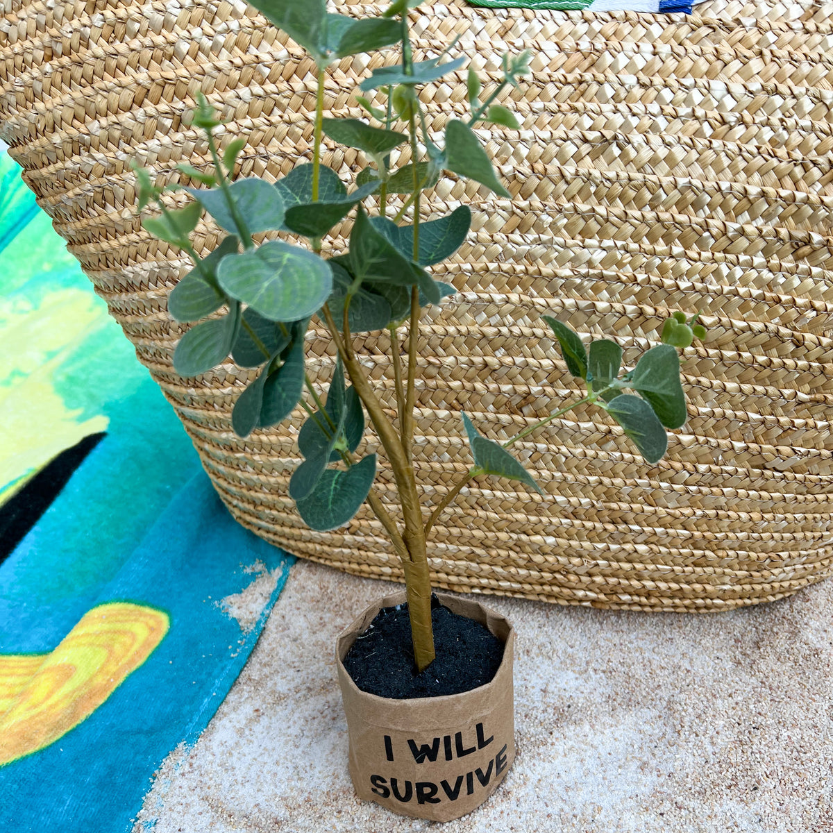 Encouraging and Humorous Faux Plants